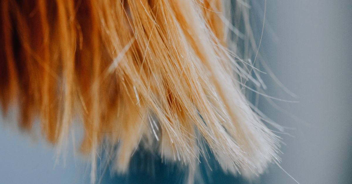 Scopri la porosità dei tuoi capelli: il test semplice che cambia la tua hair routine