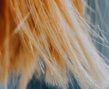 Scopri la porosità dei tuoi capelli: il test semplice che cambia la tua hair routine